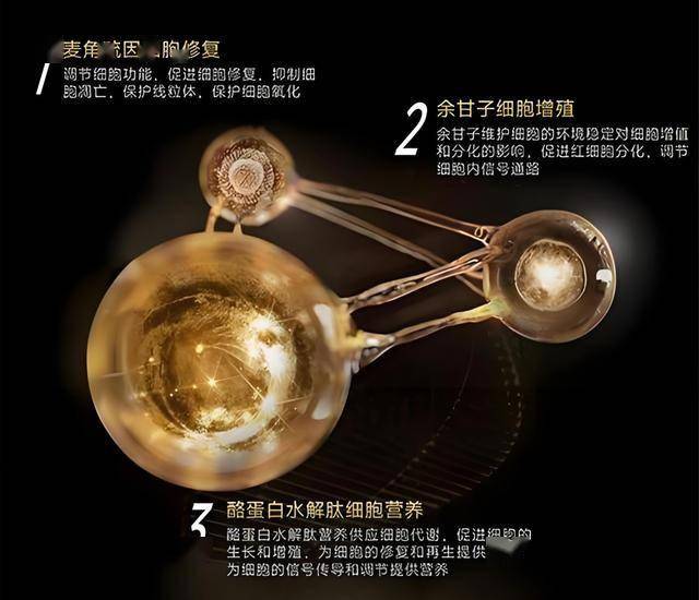 定州举办提高物业运维水平专题培训